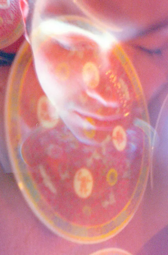 image00026.webp