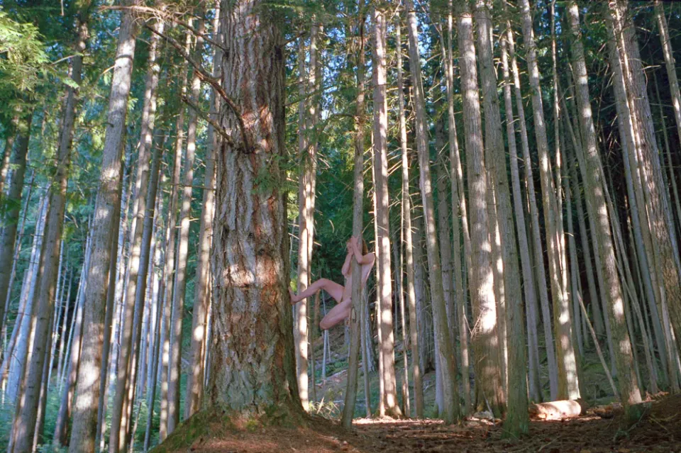 image00006.webp