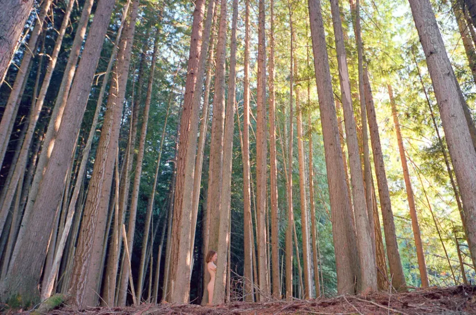image00009.webp